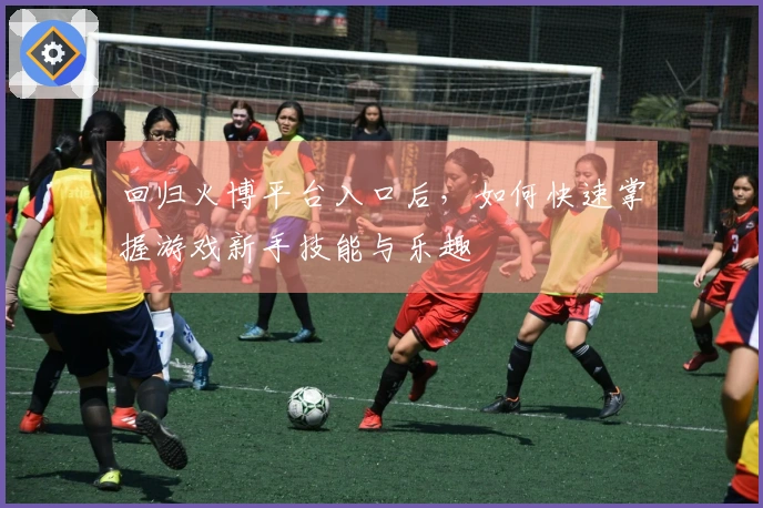 回归火博平台入口后，如何快速掌握游戏新手技能与乐趣